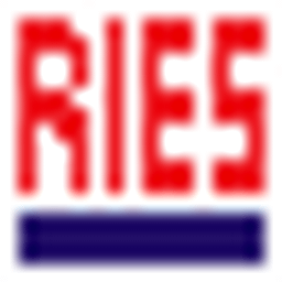 RIES Electronic Informationstechniker Meister Logo