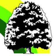 Ringel Baumschule Logo