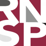 Roos Nelskamp Schumacher & Partner RAe Logo