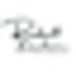 Robert Buchner Fotografie Logo