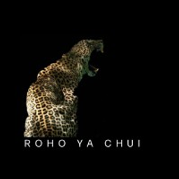 Roho Ya Chui Logo