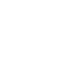 Runicstorm Logo