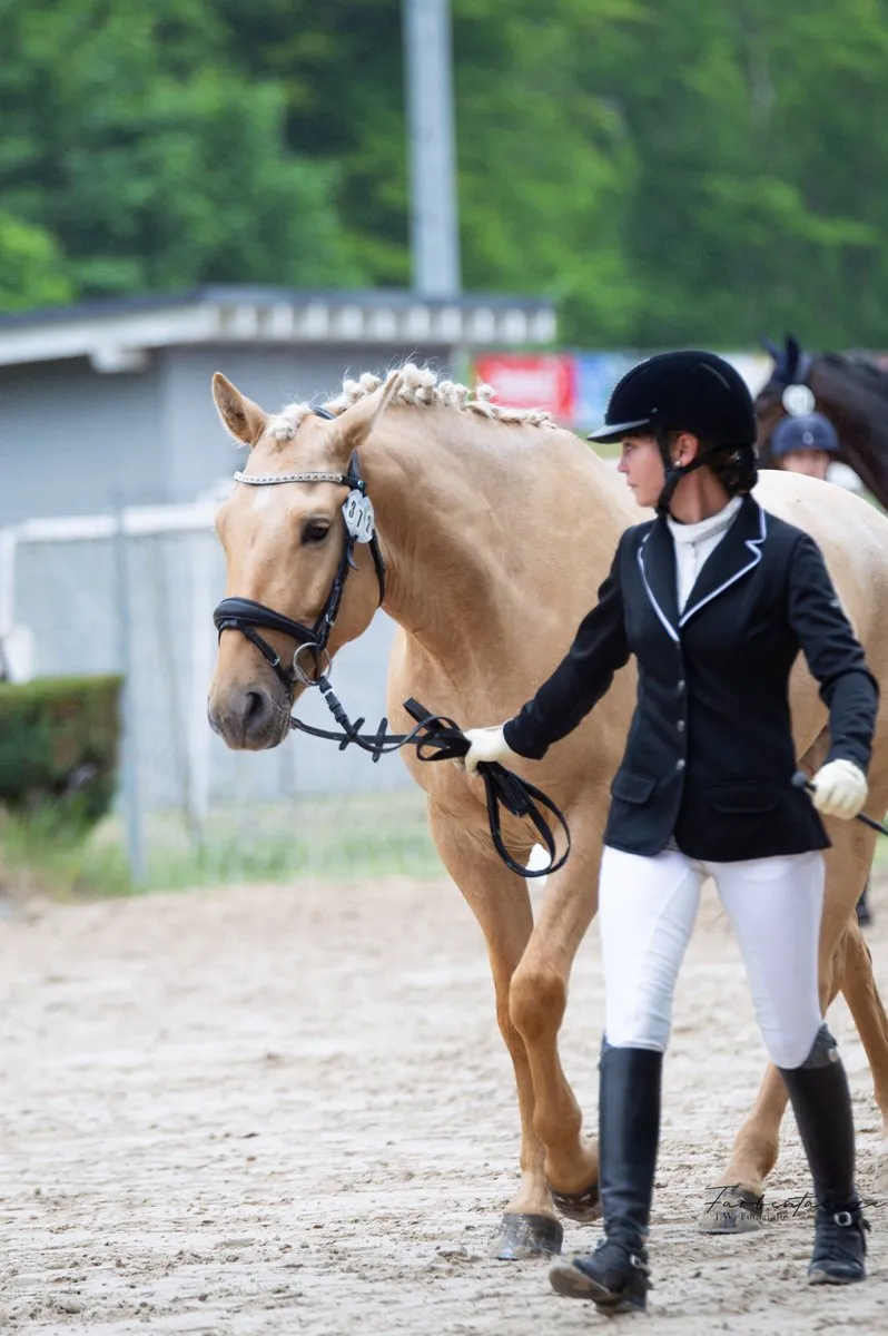 Hardy Sabrina Erfolgstraining Logo