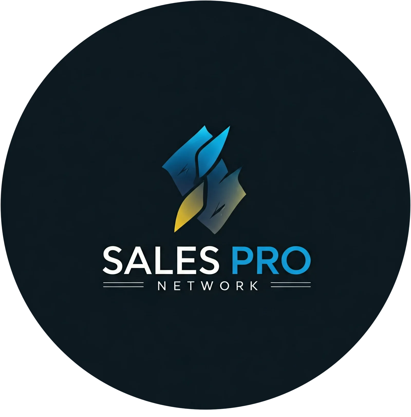 Salespronetworks Logo