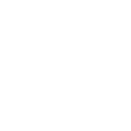 Sarahbaiertraining Logo