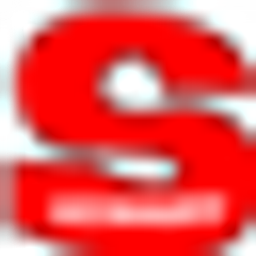 Schauff Velo World Logo