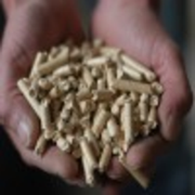 Schneifel Pellets Logo