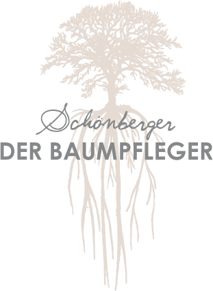 Schönberger Christian Der Baumpfleger Logo