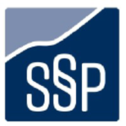 Schüssler & Partner Steuerberater Logo