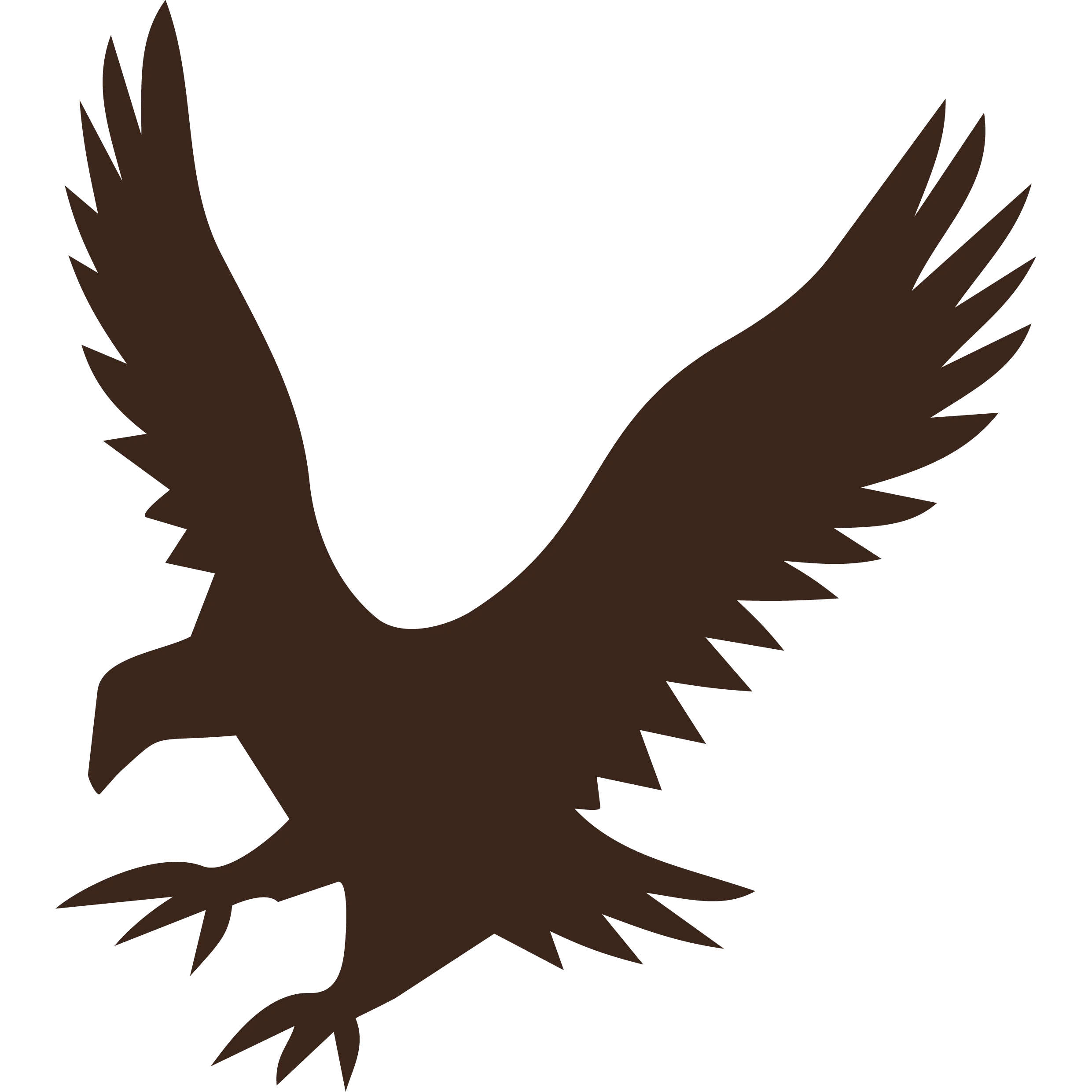 Schw Ass Logo
