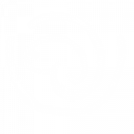 Hahn Logo