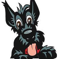 Scotties-NZ Logo