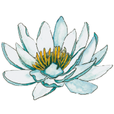 Appartement-Hotel Seerose, Cordula Haas Logo