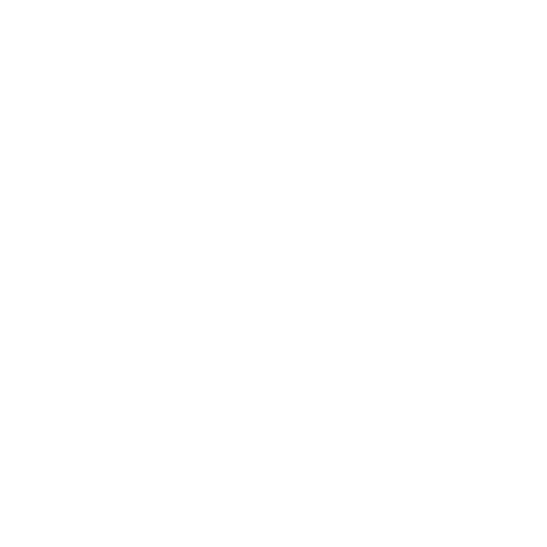 Selent GmbH Logo