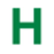 Hagemann & Sohn Logo