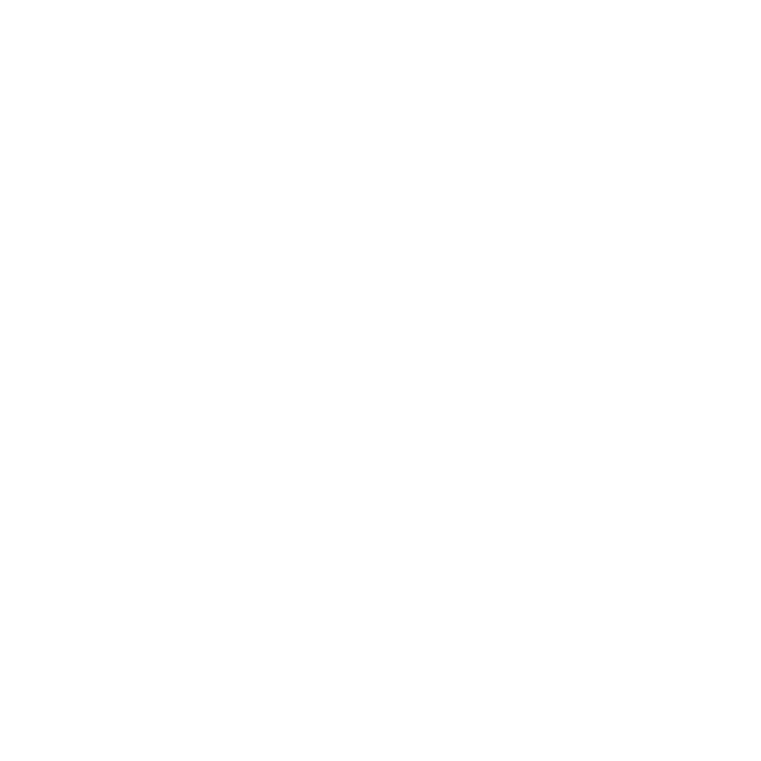 SHK Team Logo