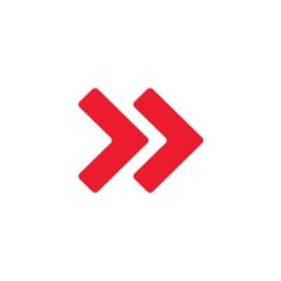 PerfectPro Logo