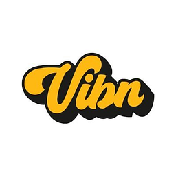 Vibn Logo