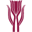 Silberkanne Rafael Hermel Logo