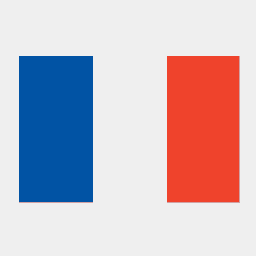 SKI France Logo