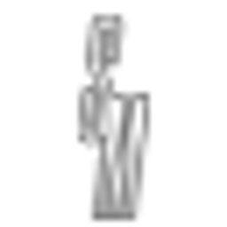 Skimaskswitzerland Logo