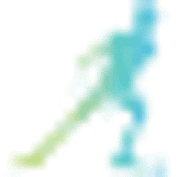 Skiroller Online Logo