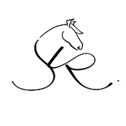 Skr Immobilien Logo