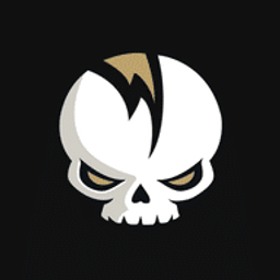 SkullVibe Logo