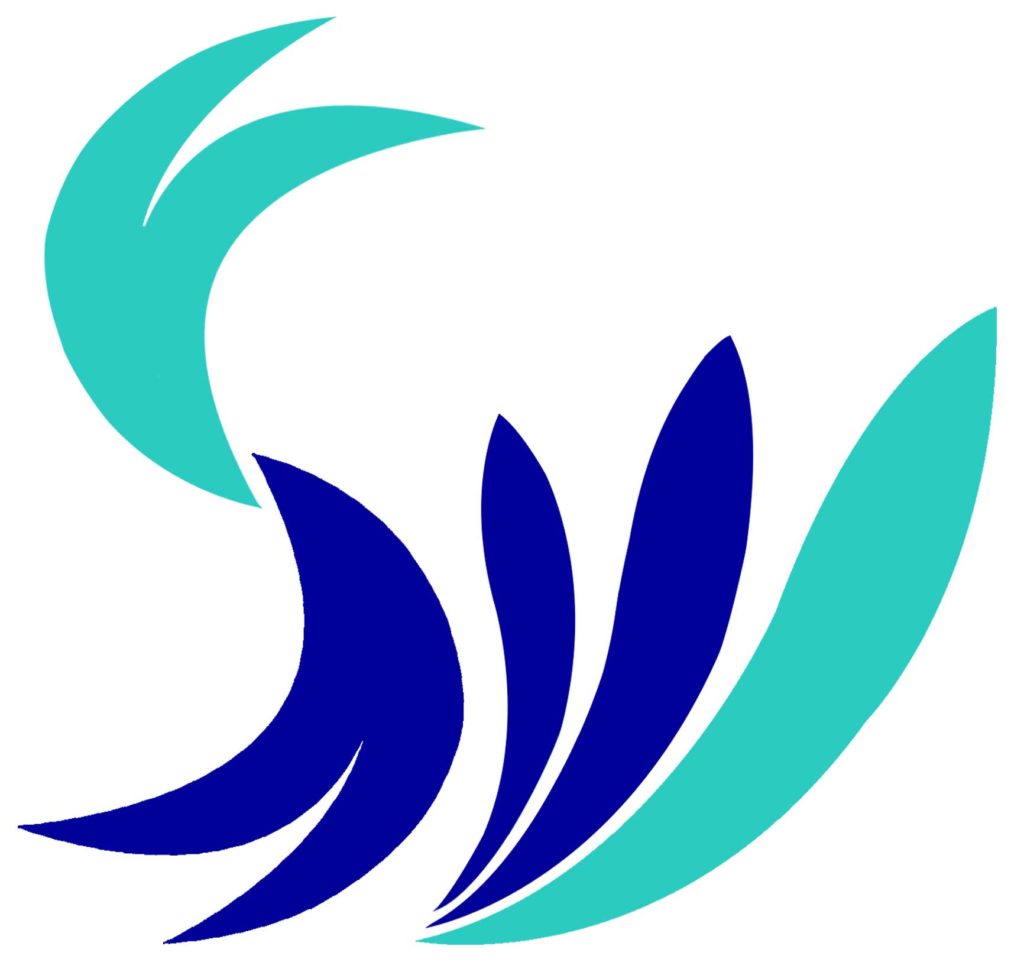 SoftWeb Development Logo