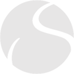 SolidSport Logo