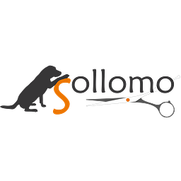 Sollomo Logo