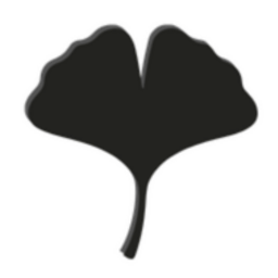 Soul - Laser & Aesthetic Logo