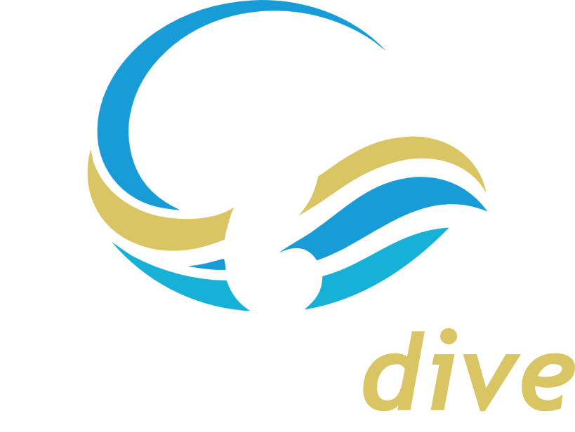 Specialdive Tauchschule Logo