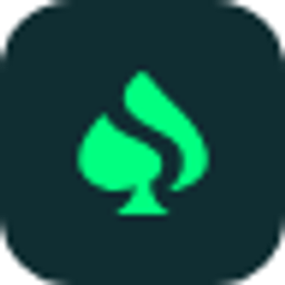 Spinfury Logo