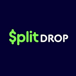 Split Drop Logo