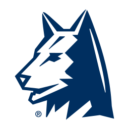 Steel Blue USA Logo