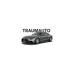 Sternauto Gruppe Logo
