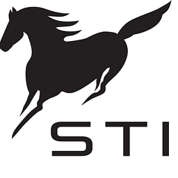 Stierna Equestrian Sportswear Logo
