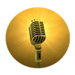 Stimme zum Beruf Logo