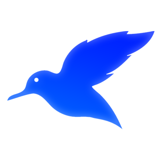 Storefrontspy Extension Logo