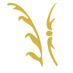 Strauss Finance Logo