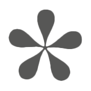 Styleloox Logo