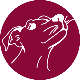 Stylesnout Logo
