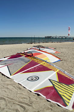 Surfschule Niendorf-ostsee Logo