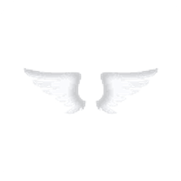 Swifty Sports Logo