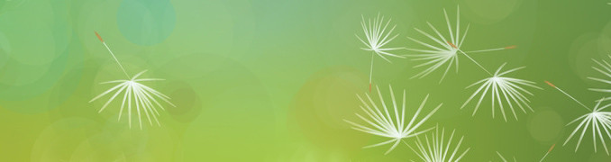 Münker Claudia Familientherapeutin (DGSF) Logo