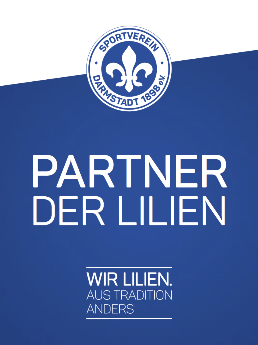 reinheimer systemloesungen gmbh EDV Logo