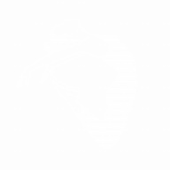 DanceArt-Schule für Tanz & Bewegung Logo