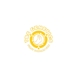 Tbsgenetics Logo