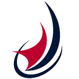 Teamgeist Logo